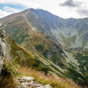 popyt doskonale elastyczny przykłady